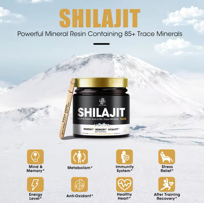 SHILAJIT BOOST