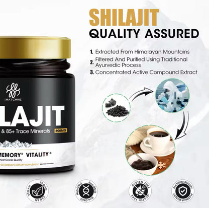 SHILAJIT BOOST